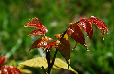 優(yōu)質(zhì)的玻璃鋼涼水塔應具備這些優(yōu)點